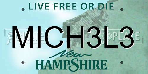 MICH3L3 New Hampshire License Plate