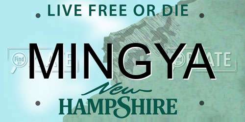 MINGYA New Hampshire License Plate