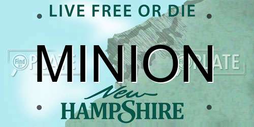 MINION New Hampshire License Plate