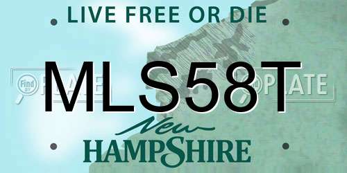 MLS58T New Hampshire License Plate