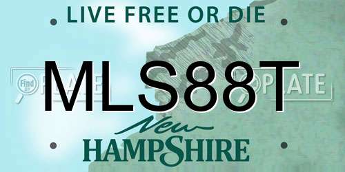 MLS88T New Hampshire License Plate