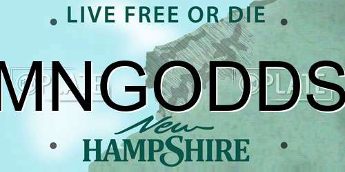 MNGODDS New Hampshire License Plate