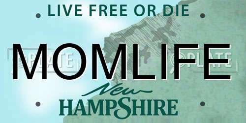 MOMLIFE New Hampshire License Plate