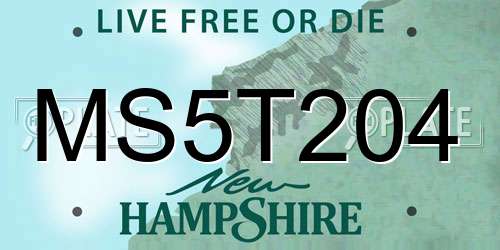 MS5T204 New Hampshire License Plate