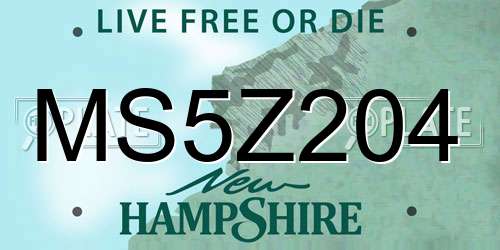 MS5Z204 New Hampshire License Plate