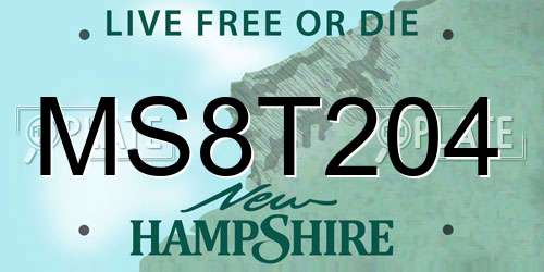 MS8T204 New Hampshire License Plate