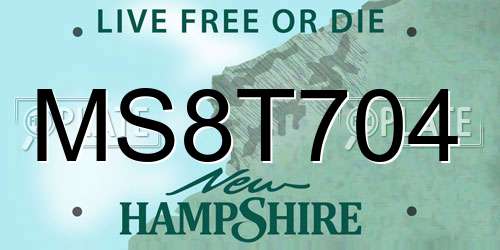 MS8T704 New Hampshire License Plate