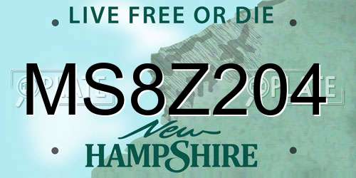 MS8Z204 New Hampshire License Plate