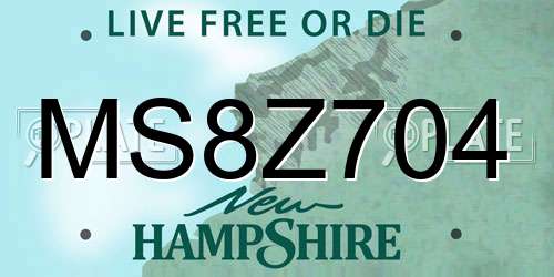 MS8Z704 New Hampshire License Plate