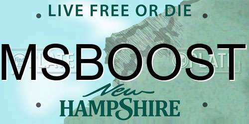 MSBOOST New Hampshire License Plate