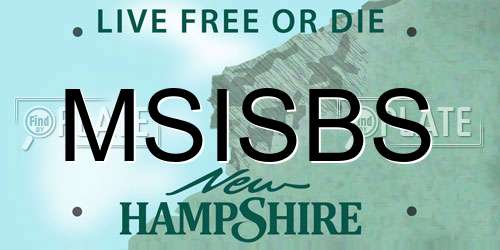 MSISBS New Hampshire License Plate