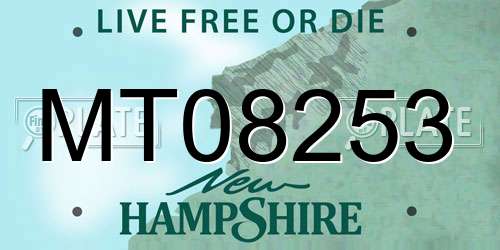 MT08253 New Hampshire License Plate