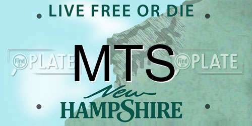 MTS New Hampshire License Plate