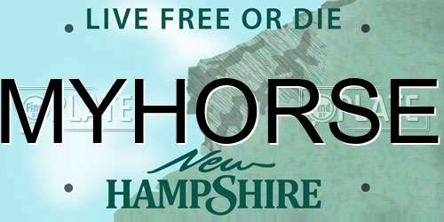MYHORSE New Hampshire License Plate