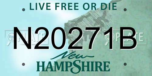 N20271B New Hampshire License Plate