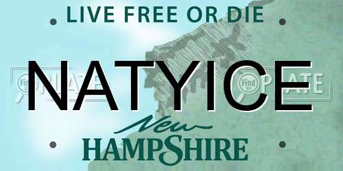 NATYICE New Hampshire License Plate