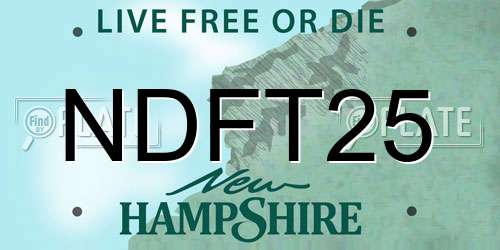 NDFT25 New Hampshire License Plate