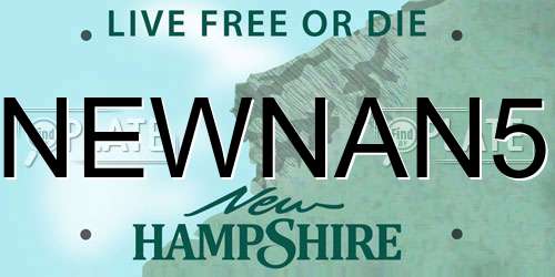 NEWNAN5 New Hampshire License Plate