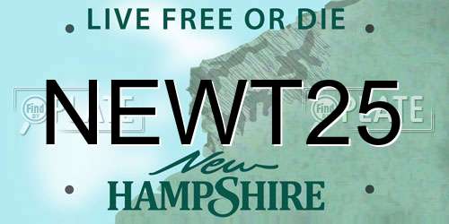 NEWT25 New Hampshire License Plate