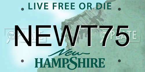 NEWT75 New Hampshire License Plate