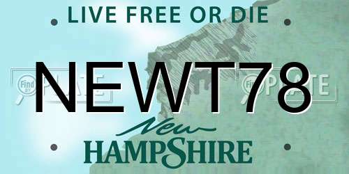 NEWT78 New Hampshire License Plate