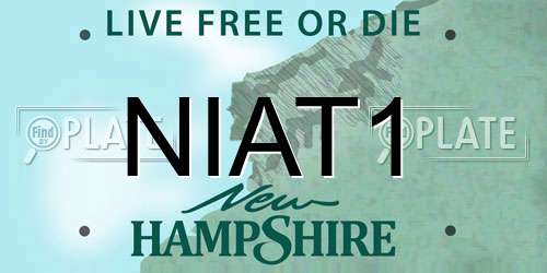NIAT1 New Hampshire License Plate