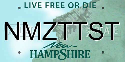 NMZTTST New Hampshire License Plate