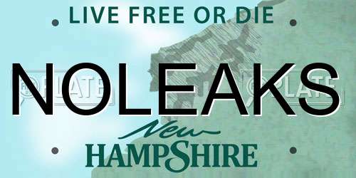 NOLEAKS New Hampshire License Plate
