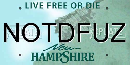 NOTDFUZ New Hampshire License Plate