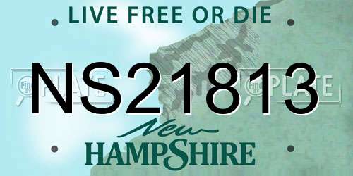 NS21813 New Hampshire License Plate