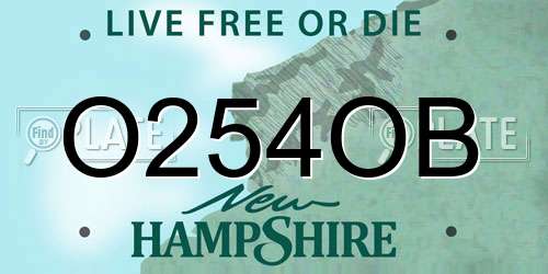 O254OB New Hampshire License Plate