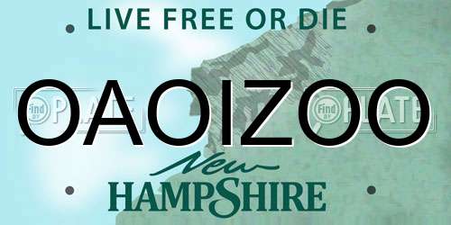 OAOIZOO New Hampshire License Plate