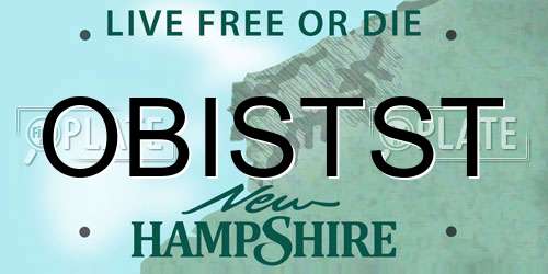 OBISTST New Hampshire License Plate