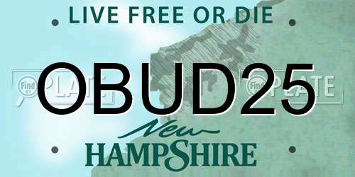 OBUD25 New Hampshire License Plate