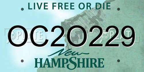 OC2O229 New Hampshire License Plate
