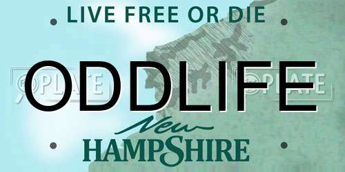 ODDLIFE New Hampshire License Plate