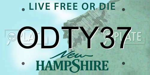 ODTY37 New Hampshire License Plate