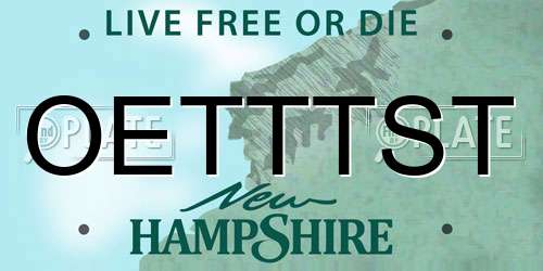 OETTTST New Hampshire License Plate