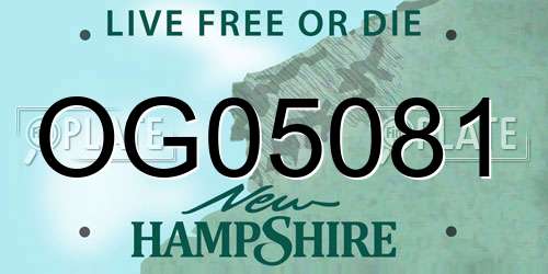 OG05081 New Hampshire License Plate