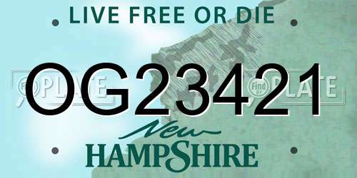 OG23421 New Hampshire License Plate