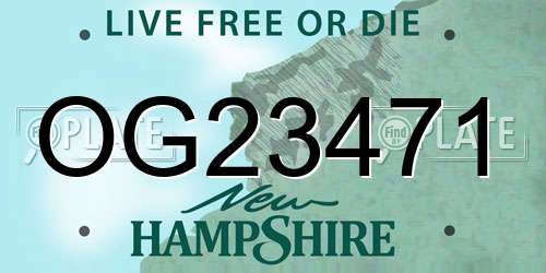 OG23471 New Hampshire License Plate