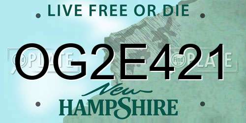 OG2E421 New Hampshire License Plate