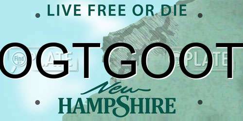 OGTGOOT New Hampshire License Plate