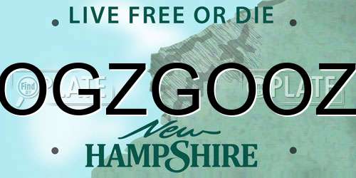 OGZGOOZ New Hampshire License Plate