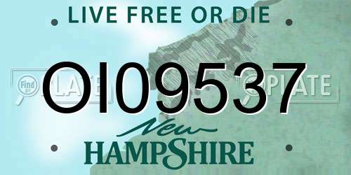 OI09537 New Hampshire License Plate