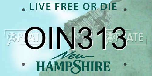 OIN313 New Hampshire License Plate