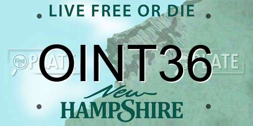OINT36 New Hampshire License Plate