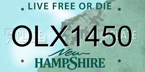 OLX1450 New Hampshire License Plate