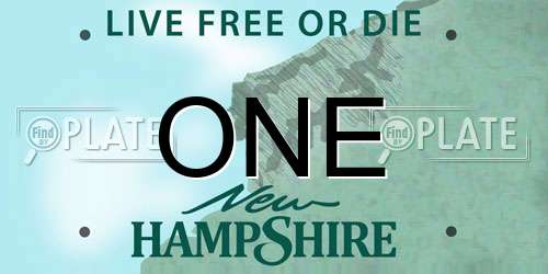 ONE New Hampshire License Plate