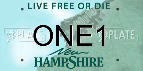 ONE1 New Hampshire License Plate
